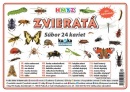 Súbor 24 kariet - zvieratá (hmyz) (Kupka Petr)