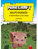 Nejlepší spojovačky Minecraft (Cube Kid)