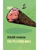 Pád výletního mola (Mark Haddon)