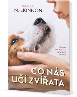 Co nás učí zvířata (MacKinnon Danielle)