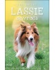 Lassie se vrací (Eric Knight)