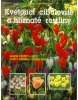 Kvetoucí cibulovité a hlíznaté rostliny (Klaas T. Noordhuis)