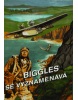 Biggles se vyznamenává (William Earl Johns; Pavel Andrýsek)