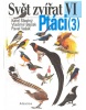 Ptáci (3) (Irena Kaftanová; Josef Quis)