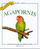 Agapornis (Jan Sojka; Jan Sojka)