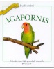 Agapornis (Jan Sojka; Jan Sojka)