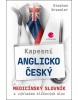 Kapesní anglicko-český medicínský slovník (Stephan Dressler; Lenka Velebová)