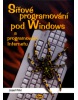 Síťové programování pod Windows (Josef Pirkl)