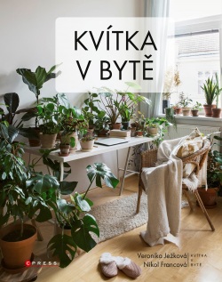 Kvítka v bytě (Kolektív)