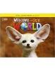 Welcome to Our World 1: Activity Book with Audio CD - Pracovný zošit (Kay, S. - Jones, V.)