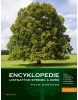 Encyklopedie listnatých stromů a keřů (Petr Horáček)