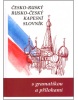 Česko-ruský rusko-český kapesní slovník (Steigerová a kolektiv Marie)