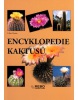 Encyklopedie kaktusů (Elisabeth Manke)
