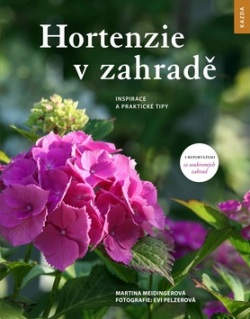 Hortenzie v zahradě (Martina Meidingerová)