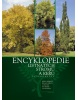 Encyklopedie listnatých stromů a keřů (1. akosť) (Petr Horáček)