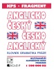 Anglicko-český a česko-anglický slovník (Kolektív)