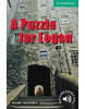 Puzzle for Logan (MacAndrew Richard)