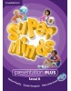 Super Minds Level 6 Presentation Plus DVD-Rom (Jones, M. - Kerr, P.)