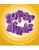 Super Minds Level 5 Posters (10) (Puchta, H.)