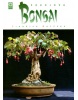Pokojová bonsai (Jindřich Votýpka; Jindřich Votýpka)
