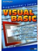 Programování v jazyce Visual Basic (Josef Myslín)