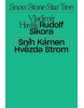 Sníh, kámen, hvězda, strom (Jakub Král)