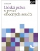 Lidská práva v praxi obecných soudů (Jan Kratochvíl)