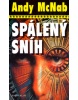 Spálený sníh (Andy McNab)