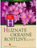 Hlíznaté okrasné rostliny (Stanislav Vilím; Lenka Křesadlová)