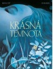 Krásná temnota (Fabien Vehlmann)