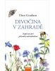 Divočina v zahradě (Dave Goulson)