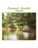 Pantanal – Brazílie (Jiří Bednář)