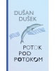 Potok pod potokom (Casey H.)