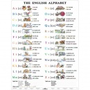 Náučná tabuľa English Alphabet (120x160 cm)