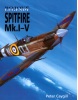 Bojové legendy Spitfire (Peter Caygill)