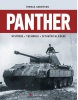 Panther (Anderson Thomas)