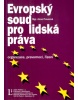 Evropský soud pro lidská práva