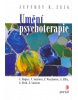 Umění psychoterapie (Jeffrey K. Zeig)
