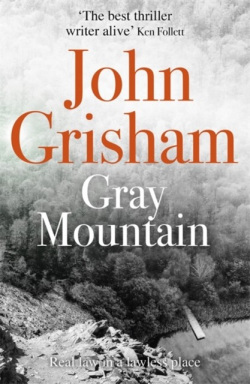 Gray Mountain (John Grisham)