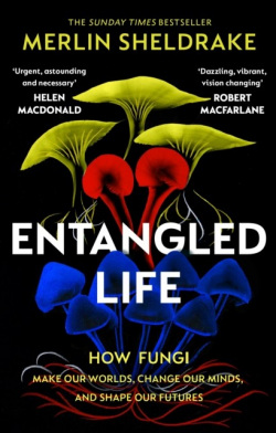 Entangled Life (Merlin Sheldrake)