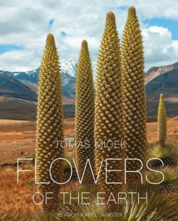 Flowers of the Earth (Tomáš Míček)