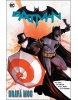 Batman - Dravá moc (Tom King)