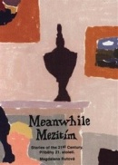 Meanwhile - Mezitím (Magdalena Rutová)