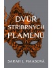 Dvůr stříbrných plamenů (Sarah J. Maasová)