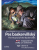 Pes baskervillský A1/A2 (Dana Olšovská)