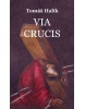 Via crucis (Tomáš Halík)