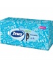 ZEWA Everyday box - hygienické papierové vreckovky 100ks