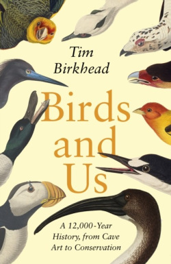 Birds and Us (Tim Birkhead)