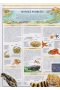 Svet prírody Ottova ilustrovaná encyklopedie