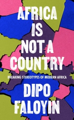 Africa Is Not A Country (Dipo Faloyin)